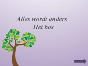 Alles wordt anders Het bos Verstoppertje spelen in