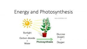 Energy and Photosynthesis Energy Ability to do work