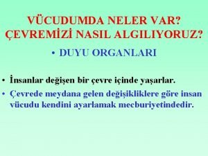 VCUDUMDA NELER VAR EVREMZ NASIL ALGILIYORUZ DUYU ORGANLARI