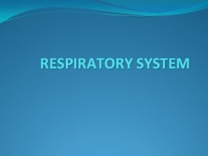 RESPIRATORY SYSTEM FUNCTIONAL ANATOMY AND PHYSIOLOGY Lungs occupy