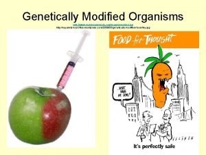 Genetically Modified Organisms http www masternewmedia orgimagesmodded jpg