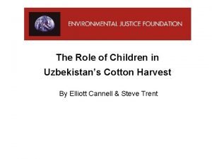 Uzbekistan cotton tremr
