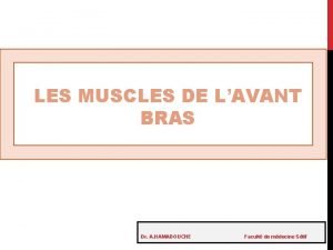 LES MUSCLES DE LAVANT BRAS Dr A HAMADOUCHE