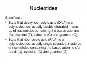 Nucleotides Specification State that deoxyribonucleic acid DNA is