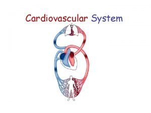 Cardiovascular System The Cardiovascular System A closed system