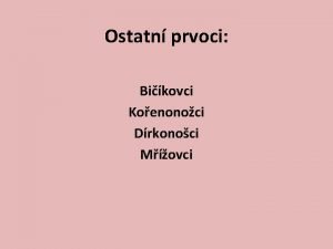 Ostatn prvoci Bikovci Koenonoci Drkonoci Movci BIKOVCI Maj