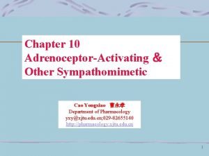 Chapter 10 AdrenoceptorActivating Other Sympathomimetic Cao Yongxiao Department