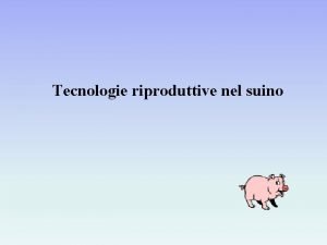 Tecnologie riproduttive nel suino Sessaggio del seme v