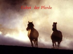 Gebet eines pferdes