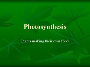 Photosynthesis Plants making their own food Role of