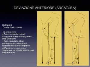 Carpo cavallo