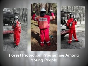 Forest Protection Programme Among Young People Forest fires