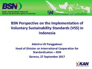BSN Perspective on the Implementation of Voluntary Sustainability