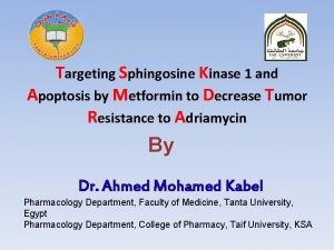 Targeting Sphingosine Kinase 1 and Apoptosis by Metformin