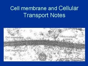 Types of cellular transport Types of cellular transport