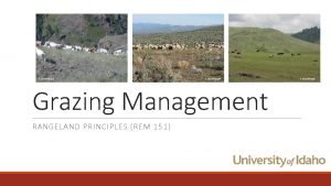 K Launchbaugh Grazing Management RANGELAND PRINCIPLES REM 151