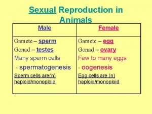 Sexual Reproduction in Animals Male Female Gamete sperm