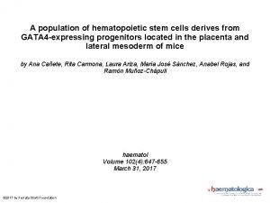 A population of hematopoietic stem cells derives from