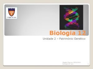 Biologia 12 Unidade 2 Patrimnio Gentico Magda Charrua