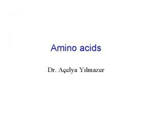 Amino acids Dr Aelya Ylmazer Proteins Main Agents
