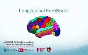 Longitudinal Free Surfer 1 What can we do