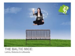 Wir verbessern Ihr online Marketing THE BALTIC MICE