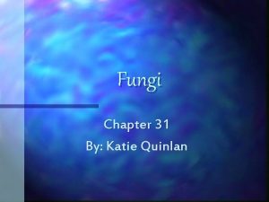 Fungi Chapter 31 By Katie Quinlan Absorptive nutrition