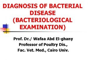 DIAGNOSIS OF BACTERIAL DISEASE BACTERIOLOGICAL EXAMINATION Prof Dr