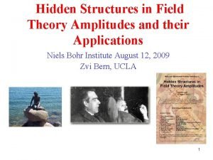 Hidden Structures in Field Theory Amplitudes and their