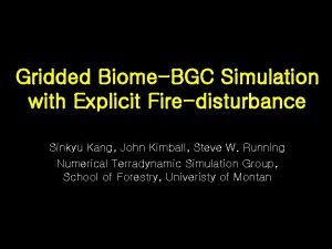Gridded BiomeBGC Simulation with Explicit Firedisturbance Sinkyu Kang