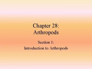 Section 28-1 introduction to the arthropods answers