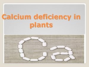 Calcium in plants function