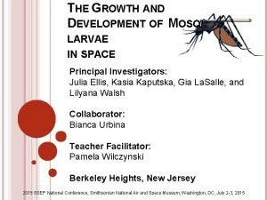 THE GROWTH AND DEVELOPMENT OF MOSQUITO LARVAE IN