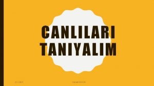 CANLILARI TANIYALIM 21 2 2021 Cansel AKGN CANLILARIN