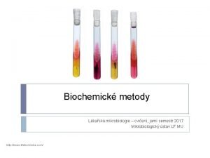 Biochemick metody Lkask mikrobiologie cvien jarn semestr 2017