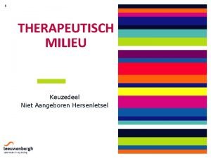 1 THERAPEUTISCH MILIEU Keuzedeel Niet Aangeboren Hersenletsel 2