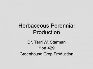Herbaceous Perennial Production Dr Terri W Starman Hort