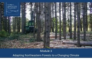 Module 3 Adapting Northeastern Forests to a Changing