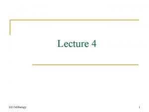 Lecture 4 222 Cell Biology 1 NUCLEIC ACIDS