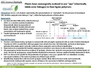 BRC Science Highlight Plants have convergently evolved to