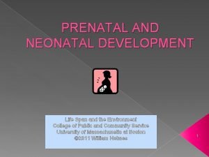 PRENATAL AND NEONATAL DEVELOPMENT Life Span and the