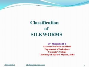 Classification of silkworm races
