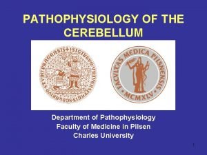 PATHOPHYSIOLOGY OF THE CEREBELLUM Department of Pathophysiology Faculty