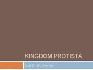 KINGDOM PROTISTA Unit 2 Biodiversity Kingdom Protista Eukaryotic