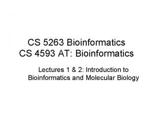 CS 5263 Bioinformatics CS 4593 AT Bioinformatics Lectures