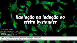 Radiao na induo do efeito bystander caro Maio