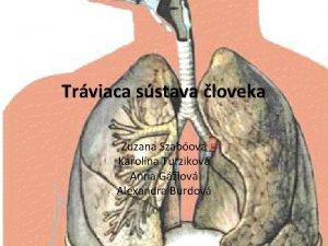 Trviaca sstava loveka Zuzana Szabov Karolna Turzikov Anna