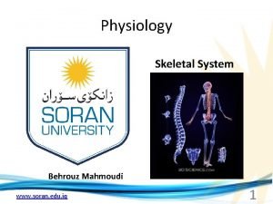 Physiology Skeletal System Behrouz Mahmoudi www soran edu