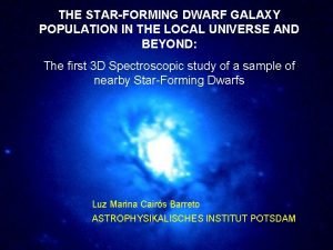 THE STARFORMING DWARF GALAXY POPULATION IN THE LOCAL