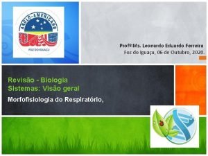 O que é enfisema pulmonar